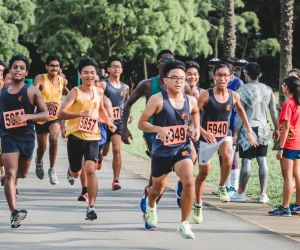 5cb0a383d15e0000238614e2_optimized_1920_c1443x811-245x266